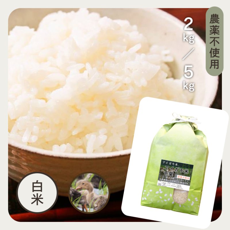 もち米 令和3年産 美味保証 マンゲツモチ米 玄米30kg 千葉県産 - 米