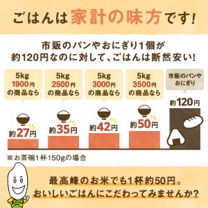 新米 | 特別栽培米／佐賀県産 ・七夕コシヒカリ｜お米の通販・石川商店