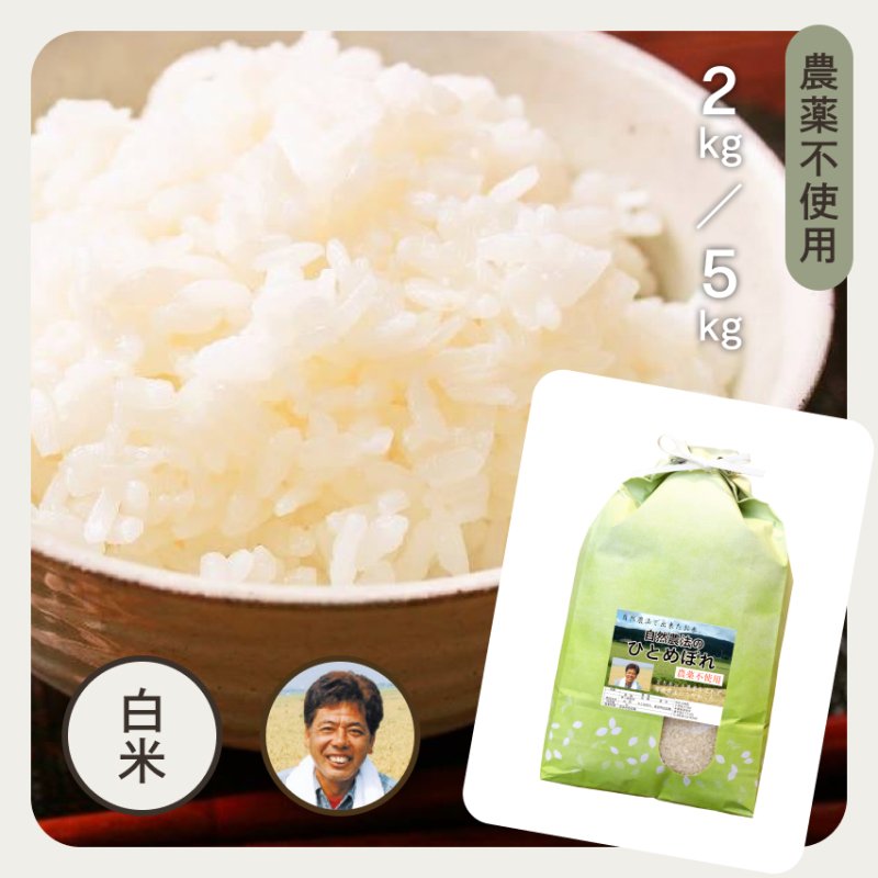 お米　ひとめぼれ【令和3年産】精米済み　20kg（5kg×4）米　雑穀米/穀物