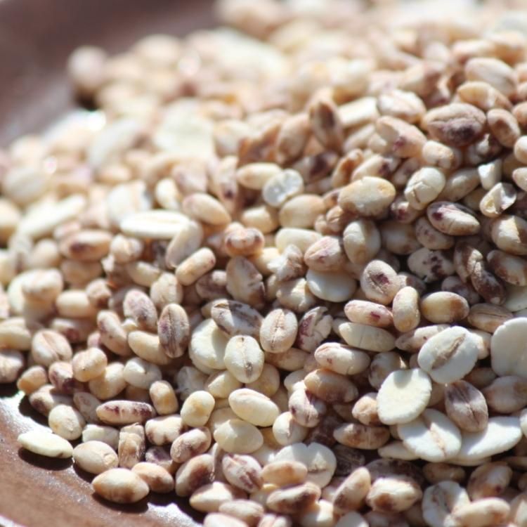 国産] もち麦たっぷり3種の麦ミックス「麦の膳」300g - お米