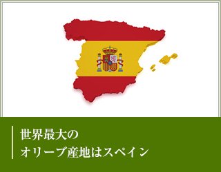 世界最大のオリーブ産地はスペイン