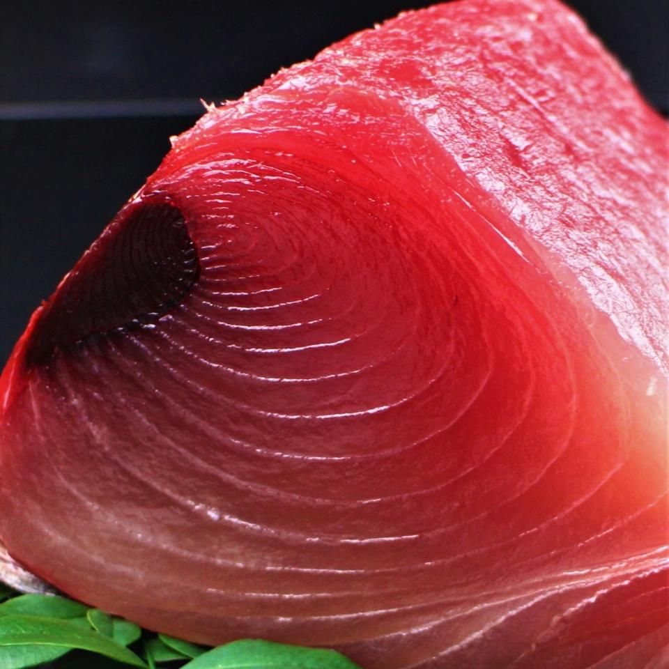 極上 松山 人魚 根付 トヒチル 東さ7-0923① 極上 松山 人魚 根付