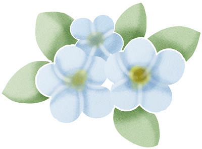 Anita Jerum¡Ê¥¢¥Ë¥¿¡¦¥¸¥§¥é¡¼¥à¡Ë ¥Ú¡¼¥Ñ¡¼¥Ê¥×¥¥ó