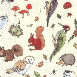 ����ưʪ �ޥǥ�󡦥ե����� Madeleine Floyd 1�� �Х���� 33cm �ڡ��ѡ��ʥץ��� �ǥ��ѡ����� ��ʥץ��� Ulster Weavers