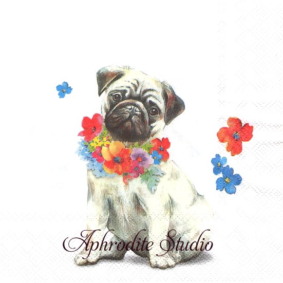 古い物が大好きな人のためのクラフトショップ Aphrodite Studio 古い物が大好きな人のためのクラフトショップ Aphrodite Studio