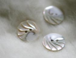 �졼���ߤ����ʥ����೭�Υܥ��������20mm/1��