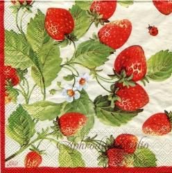 ���� FRESH STRAWBERRIES ĳ�Ȥ����� �� ���ȥ��٥꡼ �ѡ���ù� ���� �Ф���� 33cm �ڡ��ѡ��ʥץ��� Ihr