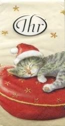 ����˹�Ҥ򤫤֤ä����ͤ���ǭ������åȡ����ꥹ�ޥ���X'mas*�����ܥ꡼��21.5cm�ѡ��ݥ��åȥڡ��ѡ��ϥ󥫥�����ϥ󥫥�