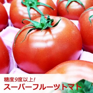 【茨城県産】KEKスーパーフルーツトマトA品（1セット/2個）