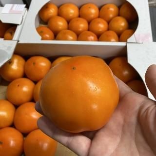 <img class='new_mark_img1' src='https://img.shop-pro.jp/img/new/icons1.gif' style='border:none;display:inline;margin:0px;padding:0px;width:auto;' />ޥ󥴡ȥޥȡϺɡM1å/500g