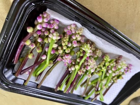 つるむらさきの花 三浦野菜の宅配 通販 産地直送 朝採り 三浦野菜市場