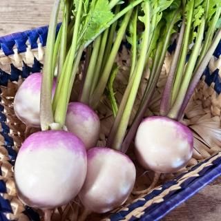 <img class='new_mark_img1' src='https://img.shop-pro.jp/img/new/icons1.gif' style='border:none;display:inline;margin:0px;padding:0px;width:auto;' />㤫֡1ѥå/5ġ