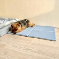 マット - 犬ベッド 高品質 DOG BED｜アンベルソ公式通販