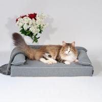 猫におすすめ - アンベルソ公式通販