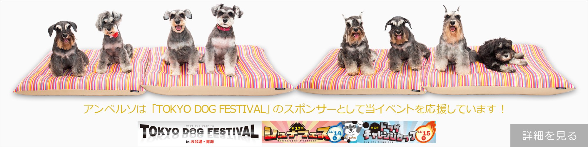TOKYO DOG FESTIVAL 2015
