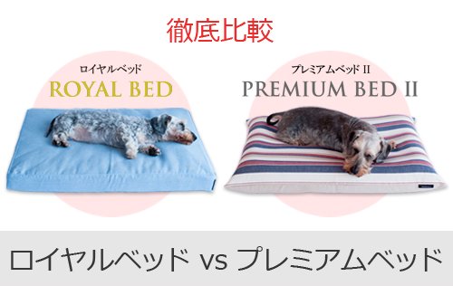 ベッドの徹底比較