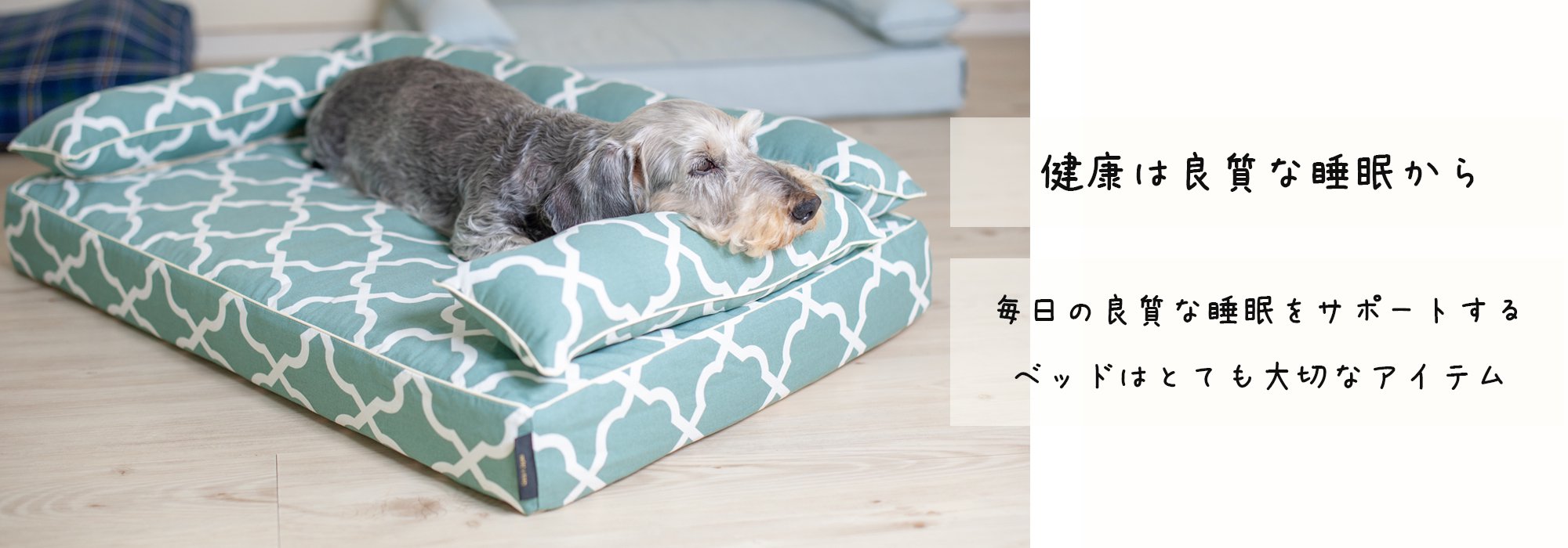 愛犬のベッドの「見直しと購入」のタイミング