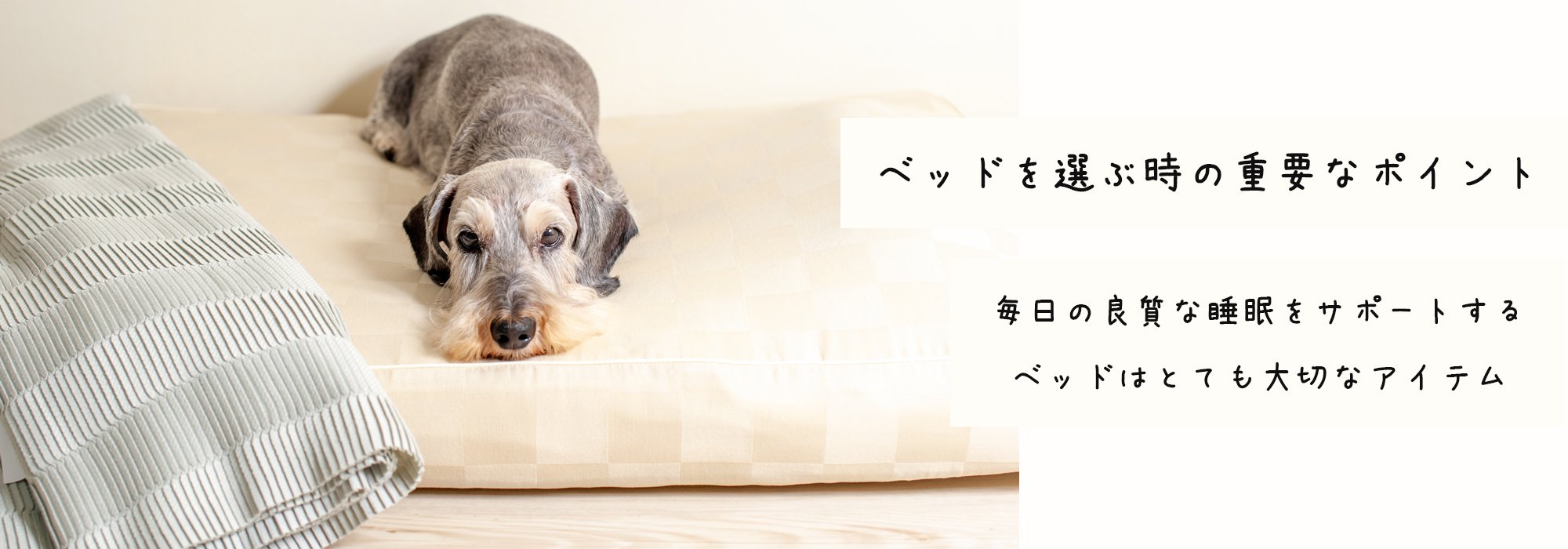犬用ベッド選びは「厚み」に注目しよう！
