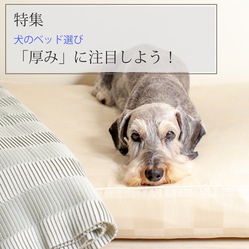 ロイヤルベッド本体（トリプルクッション）【XS/S/M/L/XLサイズ】 - 犬