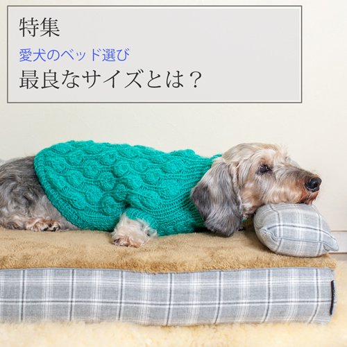 アンベルソ｜愛犬のベッド、ベストなサイズは？