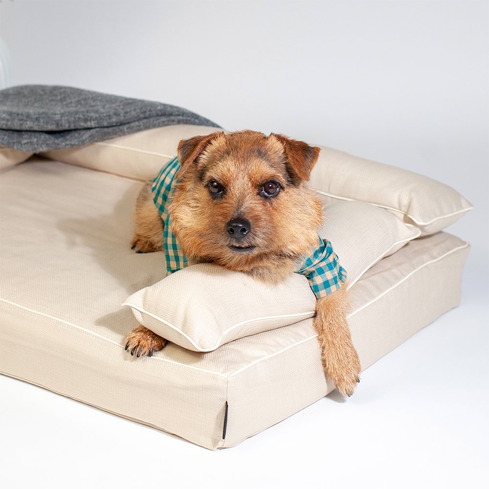 セール商品 - 犬ベッド 高品質 DOG BED｜アンベルソ公式通販