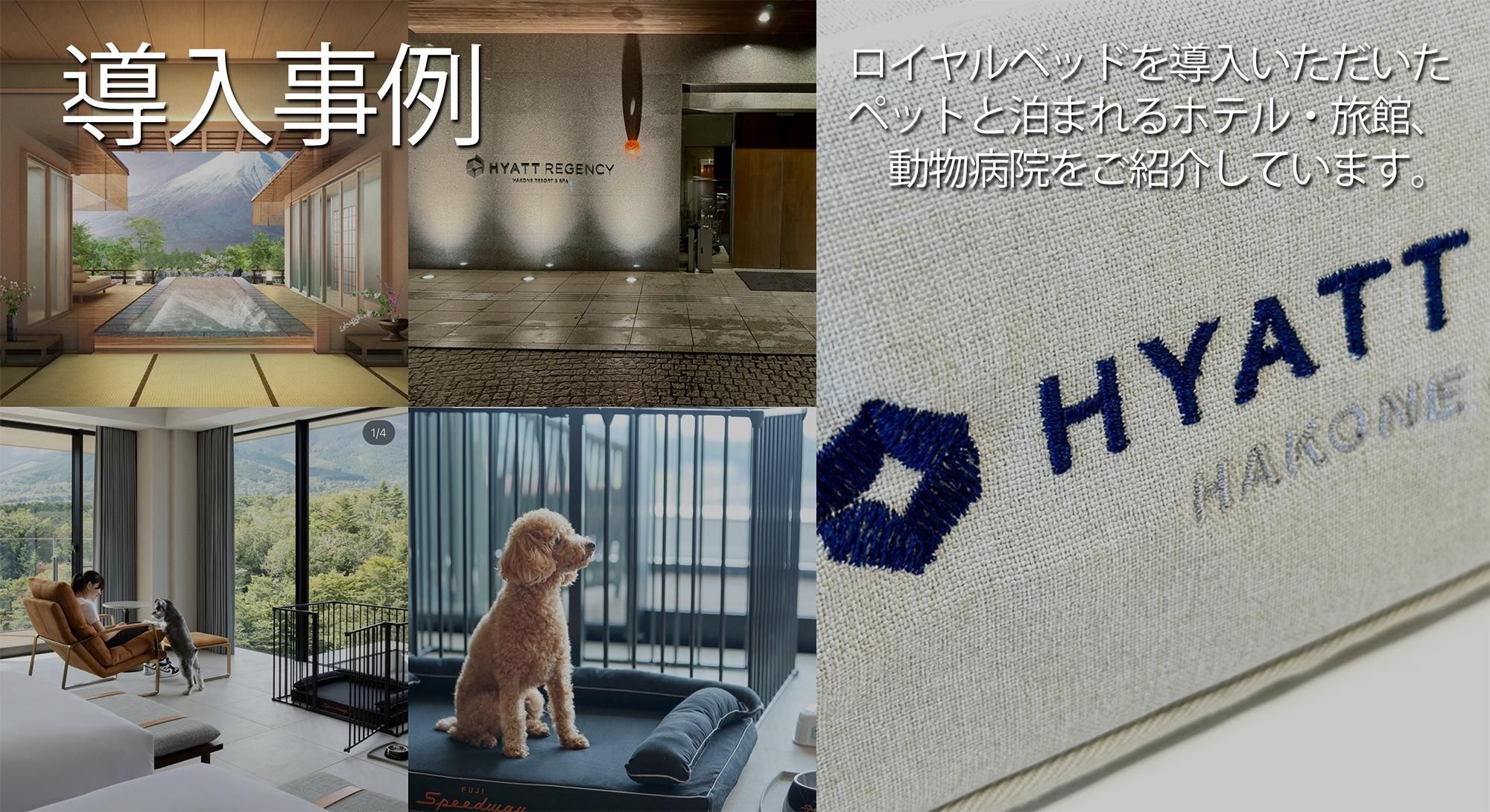 Ƴ������ø��Υ٥åɡ�����٥륽