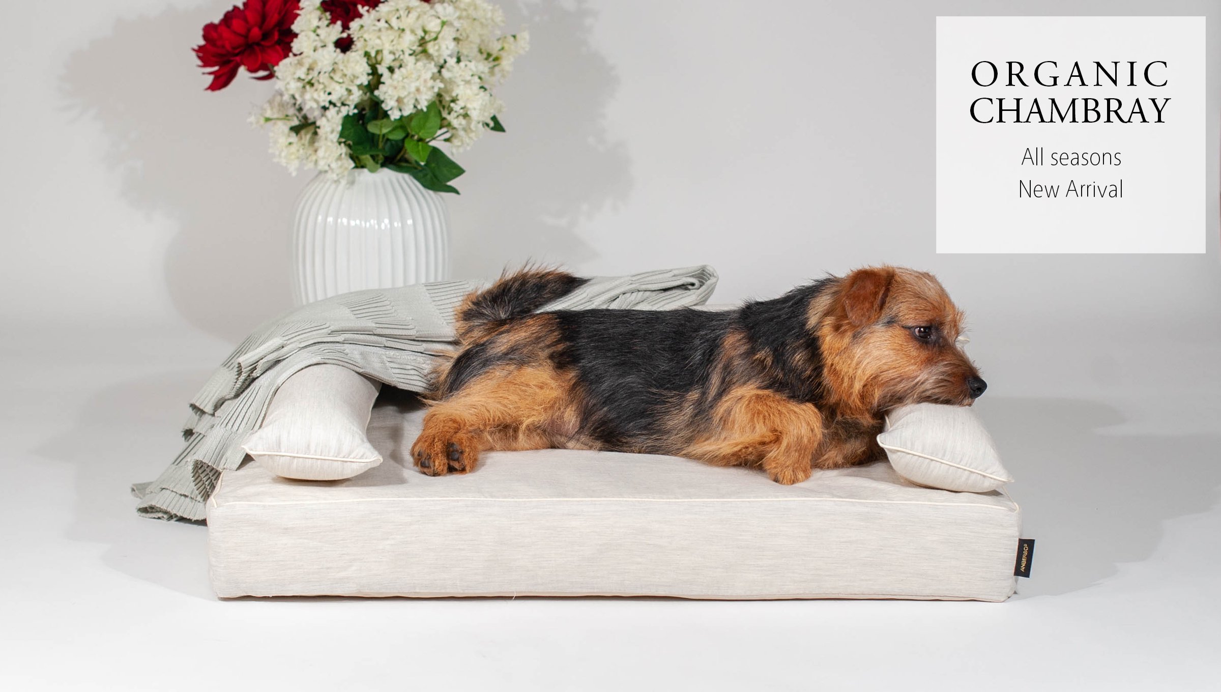 犬のベッド｜アンベルソ - 公式通販サイト