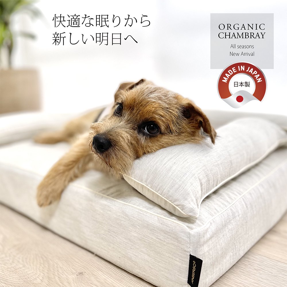 安い ナンバークッション 2 犬