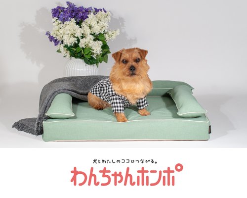 アンベルソ｜犬専門の情報サイト：わんちゃんホンポ