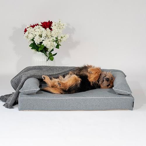 アンベルソ　ペット用ベッド ベッド本体 - ペット用ベッド 犬猫用 高品質｜アンベルソ公式通販