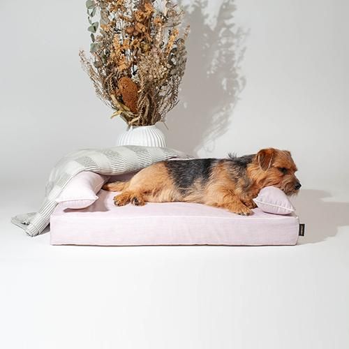 アンベルソ　ペット用ベッド ベッド本体 - ペット用ベッド 犬猫用 高品質｜アンベルソ公式通販