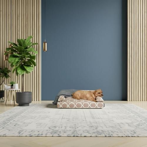 褻åդСڥ⥫١ۡʤͽʸ15%OFF̵<img class='new_mark_img2' src='https://img.shop-pro.jp/img/new/icons30.gif' style='border:none;display:inline;margin:0px;padding:0px;width:auto;' />