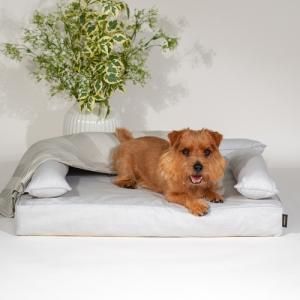 ご予約注文 - 犬ベッド 高品質 DOG BED｜アンベルソ公式通販