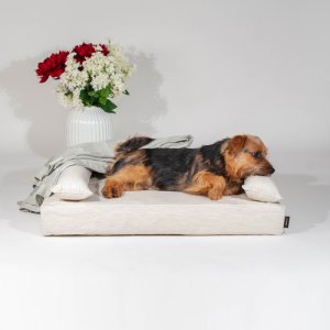 カバー - 犬のベッド｜アンベルソ
