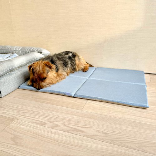 老犬介護におすすめ - 犬ベッド 高品質 DOG BED｜アンベルソ公式通販