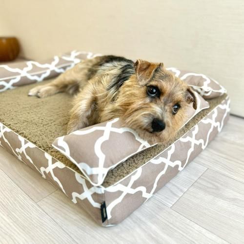 褻åդС顦󥿡ڥ⥫١ۡʤͽʸ15%OFF̵<img class='new_mark_img2' src='https://img.shop-pro.jp/img/new/icons12.gif' style='border:none;display:inline;margin:0px;padding:0px;width:auto;' />