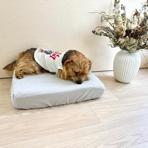 ץåȡڥ졼ۡBOXסۡʤͽʸ15%OFF<img class='new_mark_img2' src='https://img.shop-pro.jp/img/new/icons12.gif' style='border:none;display:inline;margin:0px;padding:0px;width:auto;' />