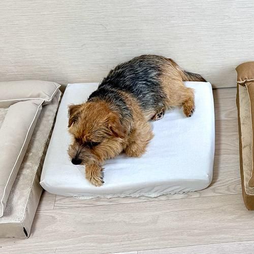 ץåȡڥ١ۡBOXס ʤͽʸ15%OFF<img class='new_mark_img2' src='https://img.shop-pro.jp/img/new/icons12.gif' style='border:none;display:inline;margin:0px;padding:0px;width:auto;' />