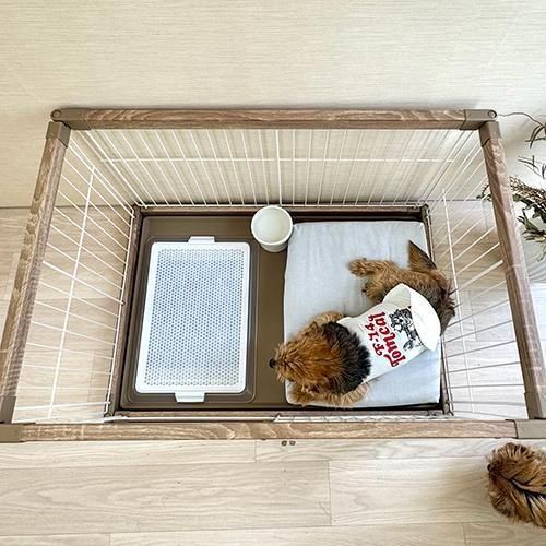 ץåȡڥ졼ۡBOXס<img class='new_mark_img2' src='https://img.shop-pro.jp/img/new/icons12.gif' style='border:none;display:inline;margin:0px;padding:0px;width:auto;' />
