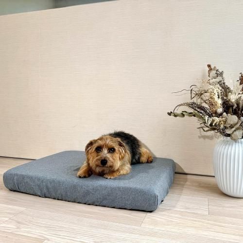 Сߡڥå奰졼ۡBOXסۡʤͽʸ15%OFF<img class='new_mark_img2' src='https://img.shop-pro.jp/img/new/icons12.gif' style='border:none;display:inline;margin:0px;padding:0px;width:auto;' />
