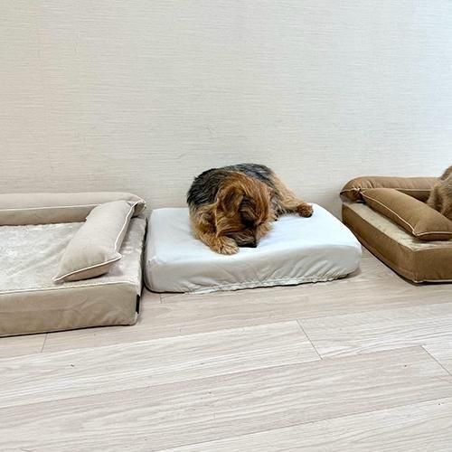 ץåȡڥ١ۡBOXס<img class='new_mark_img2' src='https://img.shop-pro.jp/img/new/icons12.gif' style='border:none;display:inline;margin:0px;padding:0px;width:auto;' />