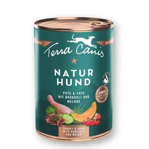 ͥ㡼ϥɡå ֥å꡼áڸѡ - ƥ饫˥Terra Canis<img class='new_mark_img2' src='https://img.shop-pro.jp/img/new/icons12.gif' style='border:none;display:inline;margin:0px;padding:0px;width:auto;' />