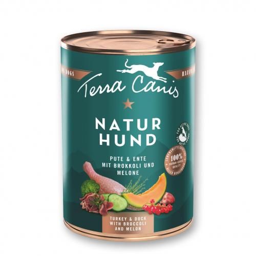 ͥ㡼ϥɡå ֥å꡼áڸѡ - ƥ饫˥Terra Canis<img class='new_mark_img2' src='https://img.shop-pro.jp/img/new/icons12.gif' style='border:none;display:inline;margin:0px;padding:0px;width:auto;' />