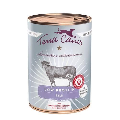 ء٥åȡ㥿ѥʻƵˡáڸѡ - ƥ饫˥Terra Canis