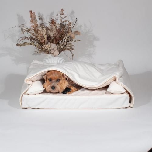 ⥰顼åڥܥ꡼ۡʤͽʸ15%OFF̵<img class='new_mark_img2' src='https://img.shop-pro.jp/img/new/icons12.gif' style='border:none;display:inline;margin:0px;padding:0px;width:auto;' />