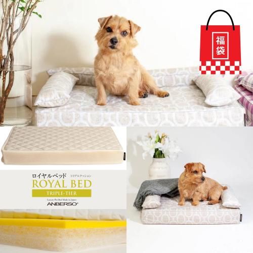 ʡ Aåȡʥ륷ѡˡ30%OFF<img class='new_mark_img2' src='https://img.shop-pro.jp/img/new/icons20.gif' style='border:none;display:inline;margin:0px;padding:0px;width:auto;' />
