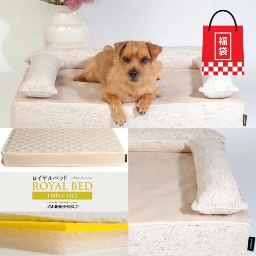 ʡ WAåȡѡˡ30%OFF<img class='new_mark_img2' src='https://img.shop-pro.jp/img/new/icons20.gif' style='border:none;display:inline;margin:0px;padding:0px;width:auto;' />