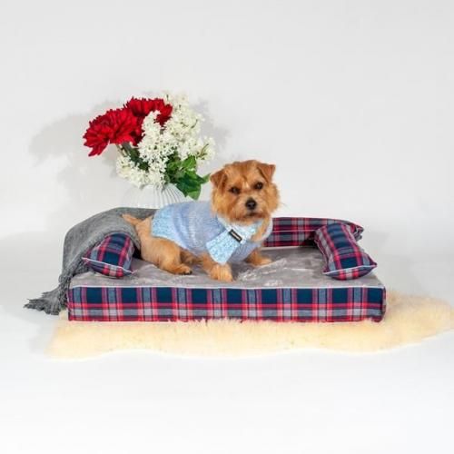 褻åդСХСʤͽʸ15%OFF̵