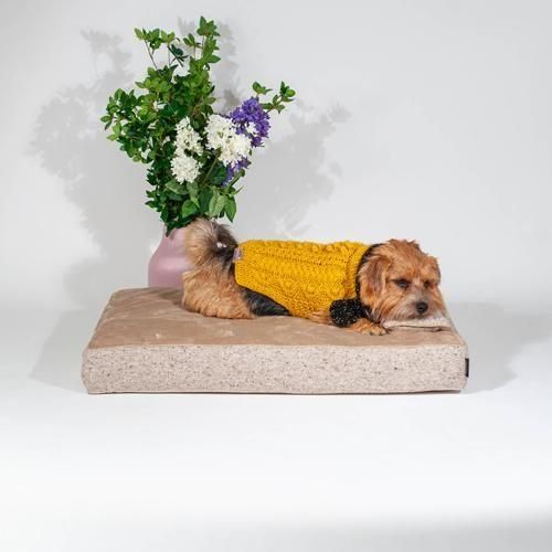 L褻åդСꥹڥ١ ʤͽʸ15%OFF̵