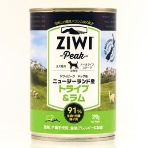 ȥ饤&ʴ̡ˡڸѡ - ԡZiwiPeak